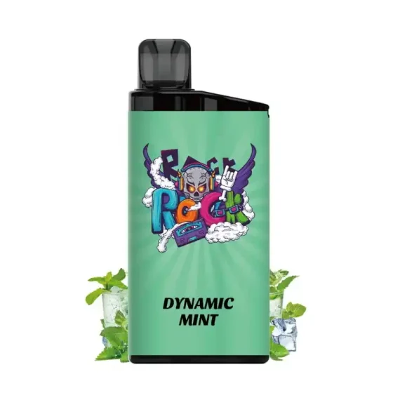 IGET Bar Dynamic Mint 2PCS